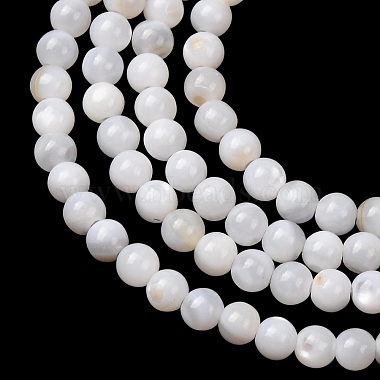 Natural Freshwater Shell Beads Strands(SH-CBA2978-07D-01)-2