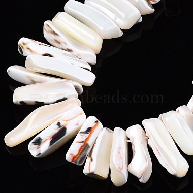 Natural Trochid Shell/Trochus Shell Beads Strands(SSHEL-T014-41A)-3