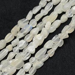 Natural Rainbow Moonstone Beads Strands, Tumbled Stone, Nuggets, 6~8x4~6mm, Hole: 1mm, 15.3 inch(39cm)(G-F521-46)
