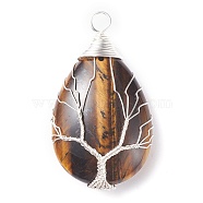 Natural Tiger Eye Pendants, with Silver Tone Copper Wire Wrapped Tree, Teardrop, 46x26x12mm, Hole: 5mm(PALLOY-JF01307-05)