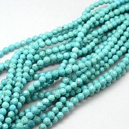 Natural Howlite Round Beads Strands, Dyed & Heated, Faceted, Pale Turquoise, 6mm, Hole: 1mm, about 67pcs/strand, 15.74 inch(TURQ-L017-6mm-01B)