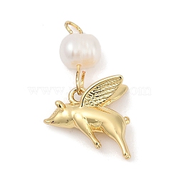 Natural Cultured Freshwater Pearl & Brass Pendants, Pig Charms, Rack Plating, Cadmium Free & Lead Free, Long-Lasting Plated, Real 18K Gold Plated, 24x14x6.5mm, Hole: 2mm(KK-U062-17G)