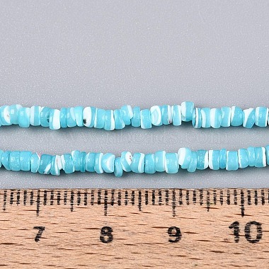 Natural Trochid Shell/Trochus Shell Beads Strands(SSHEL-N040-21B)-4