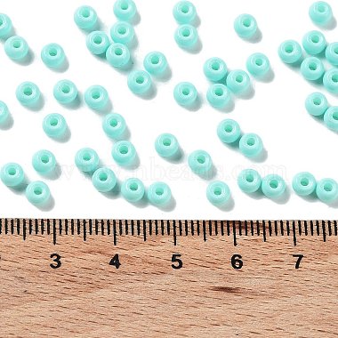 Baking Paint Glass Seed Beads(SEED-H002-I-A525)-4