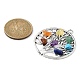 7 Chakra Mixed Gemstone Chip Pendants(PALLOY-JF02406-01)-2