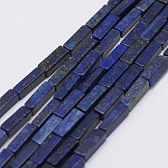 Natural Lapis Lazuli Beads Strands, Dyed, Cuboid, 13x5x5mm, Hole: 1mm, about 29pcs/Strand, 15.3 inch(39cm)(X-G-E342-11)