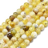 Natural Yellow Opal Beads Strands, Round, 6mm, Hole: 0.6mm, about 62~64pcs/strand, 14.96''~15.35''(38~39cm)(G-K245-A07-B02)