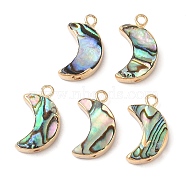 Natural Paua Shell Pendants, Moon Charms with Brass Edge, Golden, 19x11x3.5mm, Hole: 1.8mm(SHEL-P017-24G)