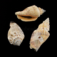 Natural Spiral Shell Beads, Peru, 41~50x21~22x16~19mm, Hole: 1mm, about 235pcs/500g(SSHEL-R036-18)