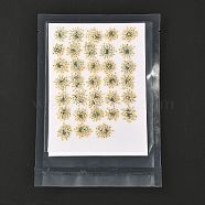 Pressed Dried Flowers, for Cellphone, Photo Frame, Scrapbooking DIY Handmade Craft, Beige, 15~20x13~19mm, 100pcs/bag(DIY-K032-58N)