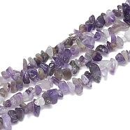 Natural Amethyst Beads Strands, Chip, 5~11x3~9x1~9mm, Hole: 1mm, about 200~300pcs/strand, 33.8 inch(G-S314-27)