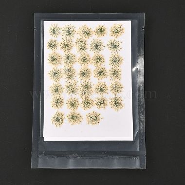 Pressed Dried Flowers(DIY-K032-58N)-1