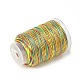 Cordon en fil de nylon teint par segment à 3 épaisseur(NWIR-F011-01K)-2