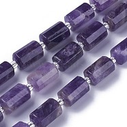 Natural Amethyst Beads Strands, Faceted, Column, 15.5~17x9.5~10mm, Hole: 1.2mm, about 21pcs/strand, 15.3 inch(39cm)(G-F595-J03)