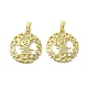 Rack Plating Brass Micro Pave Cubic Zirconia Pendants(KK-R157-13B-G)-1