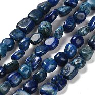 Natural Lapis Lazuli Beads Strands, Dyed, Nuggets, Tumbled Stone, 7~13x4.5~10x4.5~10mm, Hole: 1.2mm, about 44~46pcs/strand, 15.08~16.14 inch(38.3~41cm)(G-P497-01E-03B)