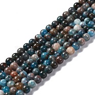 Natural Apatite Beads Strands, Round, 6mm, Hole: 0.8mm, about 67pcs/strand, 15.35''(39cm)(G-H287-01B)