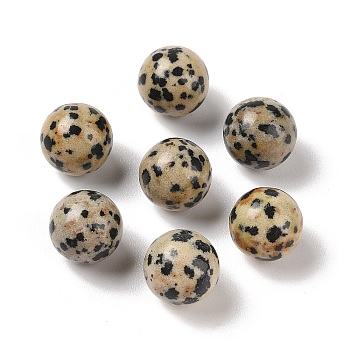 Natural Dalmatian Jasper No Hole Sphere Beads, Round, 12mm