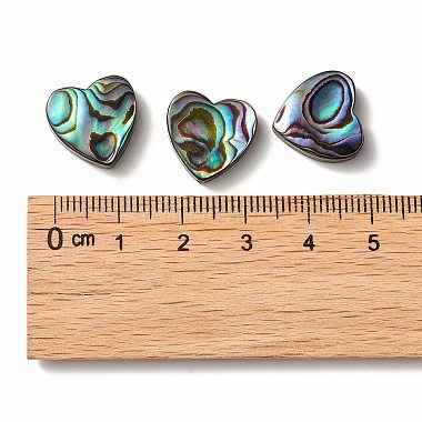 Abalone Shell/Paua Shell Beads(SHEL-T005-01)-4