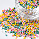 Glass Round Seed Beads(SEED-S057-R-003)-1