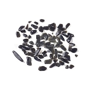 Natural Obsidian Chip Beads, No Hole/Undrilled, 2~12x2~10x1~3mm, about 11200pcs/1000g(G-M364-18A)
