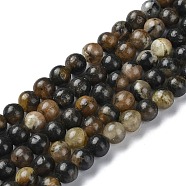 Natural Chiastolite Beads Strands, Round, 6mm, Hole: 0.7mm, about 71pcs/strand, 15.75~15.94 inch(40~40.5cm)(G-G103-A01-01)