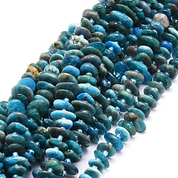 Natural Apatite Beads  Strands, Nuggets, 8~11x9~14x1.5~5mm, Hole: 0.8mm, about 74pcs/strand, 15.55''(39.5cm)(G-E569-J01)