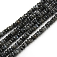 Faceted Natural Labradorite Rondelle Bead Strands, 4x2mm, Hole: 1mm, about 185~195pcs/strand, 14.9~15.6 inch(G-M065-4mm-01)