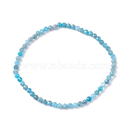 3mm Natural Apatite Beads Stretch Bracelet for Girl Women, Inner Diameter: 2-1/4 inch(5.65cm), Beads: 3mm(BJEW-JB07284-04)