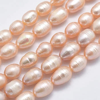 Natural Cultured Freshwater Pearl Beads Strands, Rice, Light Salmon, 8~13x7mm, Hole: 0.8mm, about 42pcs/strand, 14 inch(35.5cm)