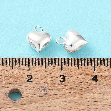 925 encantos de plata esterlina(X-STER-H106-01A-S)-5