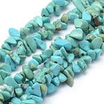 Natural Magnesite Beads Strands, Dyed & Heated, Chip, 3~5mm, Hole: 0.6mm, about 33 inch(84cm)(G-P332-62B)
