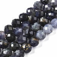 Natural Iolite/Cordierite/Dichroite Beads Strands, Faceted, Round, 6.5mm, Hole: 1mm, about 63~64pcs/strand, 15.35 inch~15.55 inch(39cm~39.5cm)(G-T108-59)