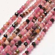 Natural Tourmaline Bead Strands, Faceted, Rondelle, 3x2.5mm, Hole: 1mm; about 140pcs/strand, 14.9 inches(G-P279-77-3mm)