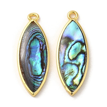 Natural Paua Shell Pendants, Horse Eye Charms with Brass Findings, Golden, 27.5x10x3mm, Hole: 1.5mm
