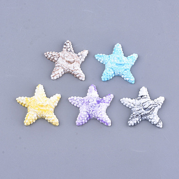 Resin Cabochons, Starfish/Sea Stars, Mixed Color, 36~37x36~38x9~10mm