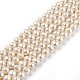 Natural Cultured Freshwater Pearl Beads Strands(PEAR-L033-19-01)-1