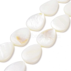 Natural Freshwater Shell Beads Strands, Flat Teardrop, White, 24~25x17~18x4mm, Hole: 1mm, about 16pcs/strand, 15.35 inch(39cm)(SHEL-H001-12)