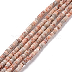 Natural Netstone Beads Strands, Flat Round, 4x2mm, Hole: 1mm, about 169pcs/strand, 14.96''(38cm)(G-P468-01)