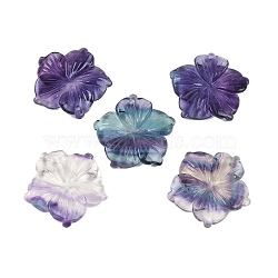 Natural Colorful Fluorite Carved Pendants, Flower Charms, 28.5x29.5x5mm, Hole: 1.2mm(G-B097-01A-16)