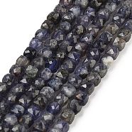 Natural Iolite Beads Strands, Faceted, Cube, 3.5~4.5x3.5~4x3.5mm, Hole: 0.6mm, about 103~106pcs/strand, 15.55'~15.75''(39.5~40cm)(G-H042-A52-02)