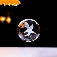 Inner Carving Glass Crystal Ball Diaplay Decoration, Fengshui Home Decor, Clear, Eagle, 60mm(PW-WGD9143-09)