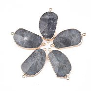 Electroplate Natural Labradorite Links Connectors, with Golden Iron Findings, Nuggets, 42~46x23.5x7~9mm, Hole: 1.8mm(G-S344-70C-01)