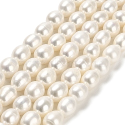 Natural Cultured Freshwater Pearl Beads Strands, Rice, Grade 5A, Floral White, 9~10x8.5mm, Hole: 0.5mm, about 38pcs/strand, 15.55 inch(39.5cm)(PEAR-E016-086)