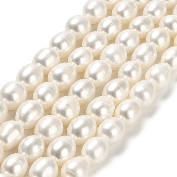 Natural Cultured Freshwater Pearl Beads Strands, Rice, Grade 5A, Floral White, 9~10x8.5mm, Hole: 0.5mm, about 38pcs/strand, 15.55 inch(39.5cm)