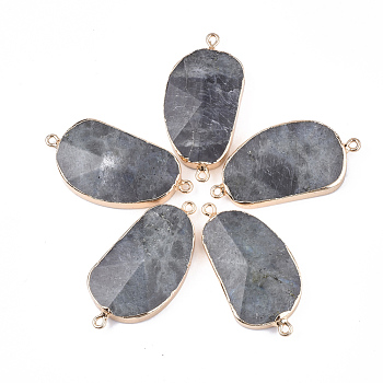 Electroplate Natural Labradorite Links Connectors, with Golden Iron Findings, Nuggets, 42~46x23.5x7~9mm, Hole: 1.8mm