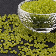 8/0 Glass Seed Beads, Frosted Colors, Round, Round Hole, Green Yellow, 8/0, 3mm, Hole: 1mm, about 1111pcs/50g, 50g/bag, 18bags/2pounds(SEED-US0003-3mm-M4)
