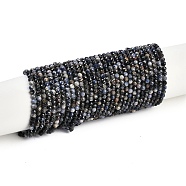 Natural Sapphire Beads Strands, Faceted, Round, 3mm, Hole: 0.6mm, about 111pcs/strand, 15.35''(39cm)(G-P553-G07-02)