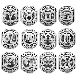 12Pcs 12 Style Brass European Beads, Large Hole Beads, Cadmium Free & Nickel Free & Lead Free, Antique Silver, Hollow Barrel with 12 Constellations, 12 Constellations, 11x9.5mm, Hole: 5mm, 1pc/style(KK-N231-LA832-NR)