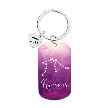 Twelve Constellations Metal Keychains, Oval Rectangle, Aquarius, 8cm